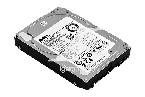 DELL NL SAS disk